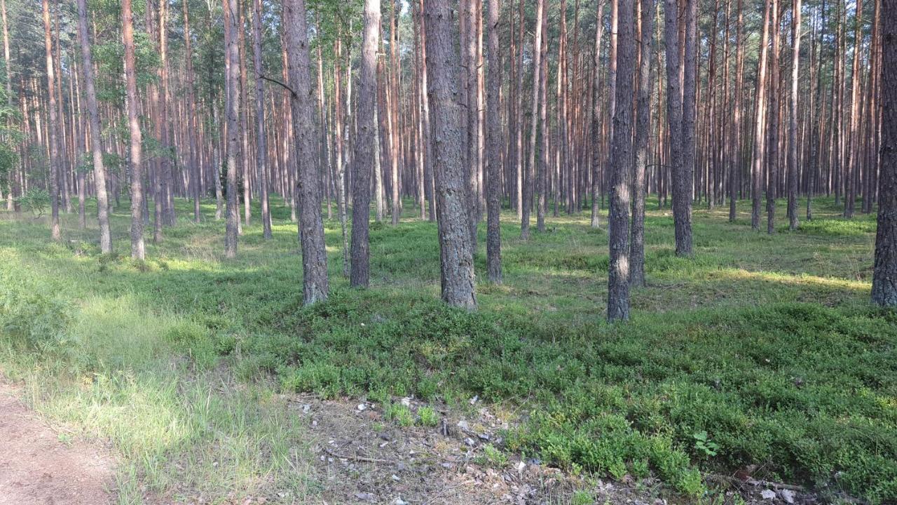 Bukowa Ostoja Lägenhet Nakielno Exteriör bild