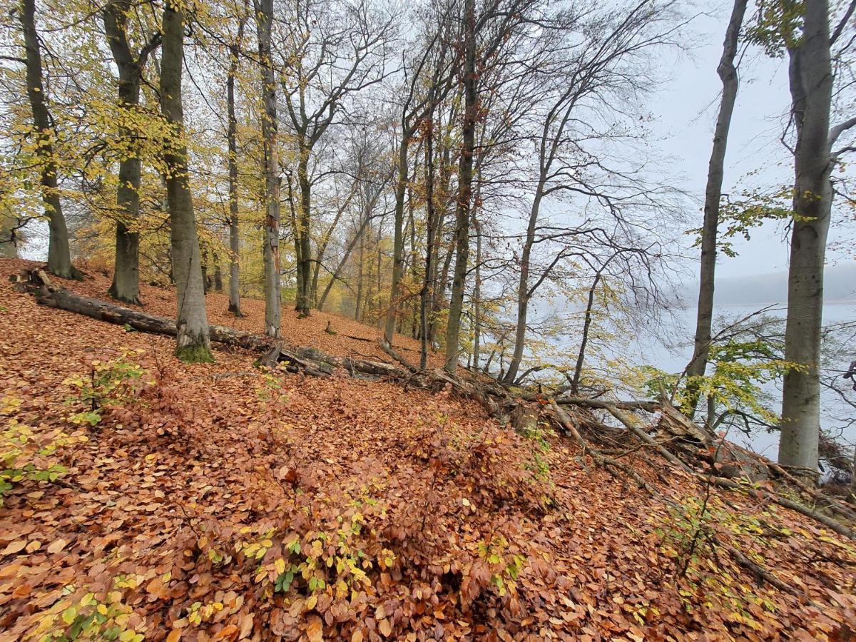 Bukowa Ostoja Lägenhet Nakielno Exteriör bild