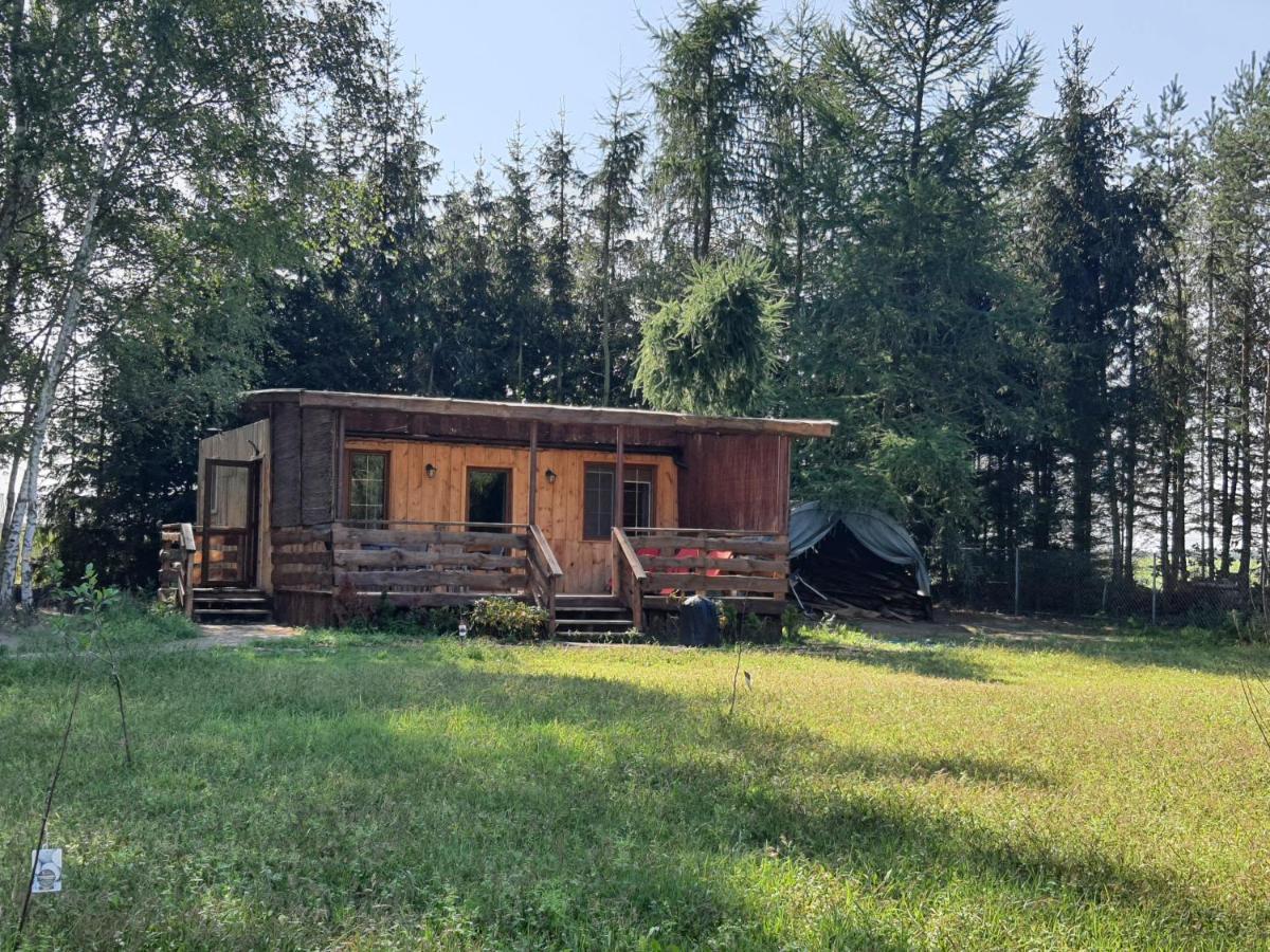 Bukowa Ostoja Lägenhet Nakielno Exteriör bild